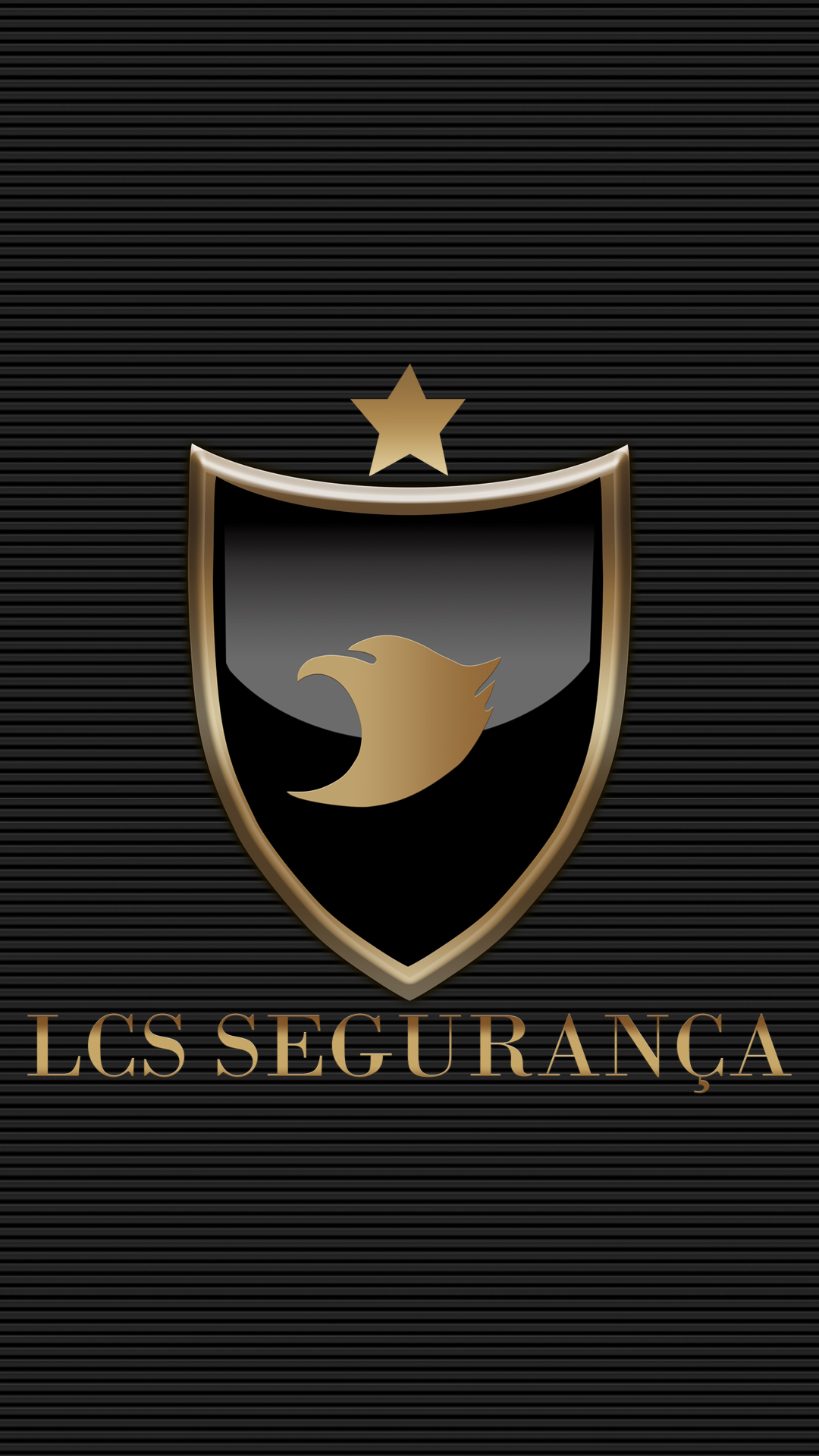 Grupo Lcs Seguranca e Facilities